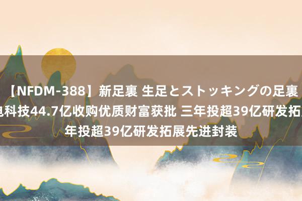 【NFDM-388】新足裏 生足とストッキングの足裏 Vol.3 长电科技44.7亿收购优质财富获批 三年投超39亿研发拓展先进封装