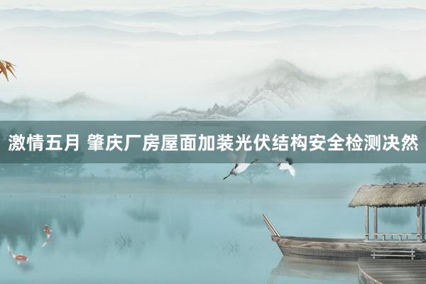 激情五月 肇庆厂房屋面加装光伏结构安全检测决然