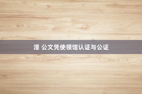 淫 公文凭使领馆认证与公证