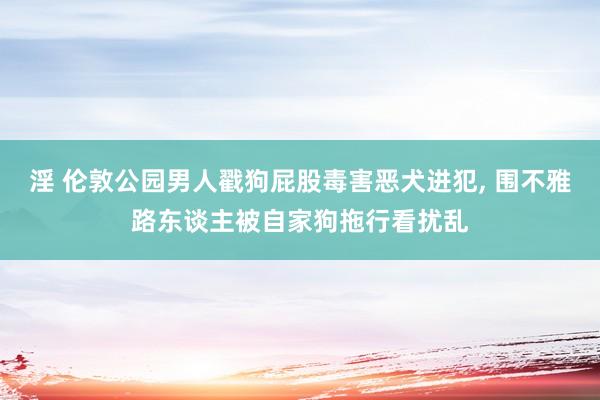 淫 伦敦公园男人戳狗屁股毒害恶犬进犯, 围不雅路东谈主被自家狗拖行看扰乱