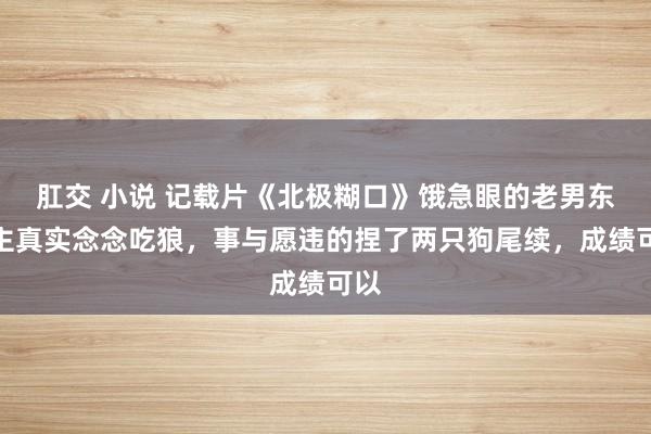 肛交 小说 记载片《北极糊口》饿急眼的老男东谈主真实念念吃狼，事与愿违的捏了两只狗尾续，成绩可以