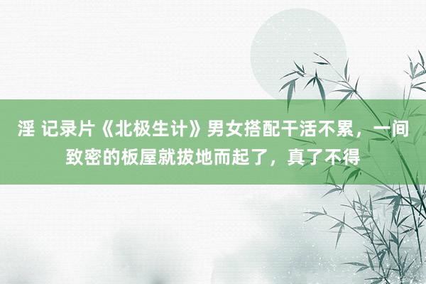 淫 记录片《北极生计》男女搭配干活不累，一间致密的板屋就拔地而起了，真了不得